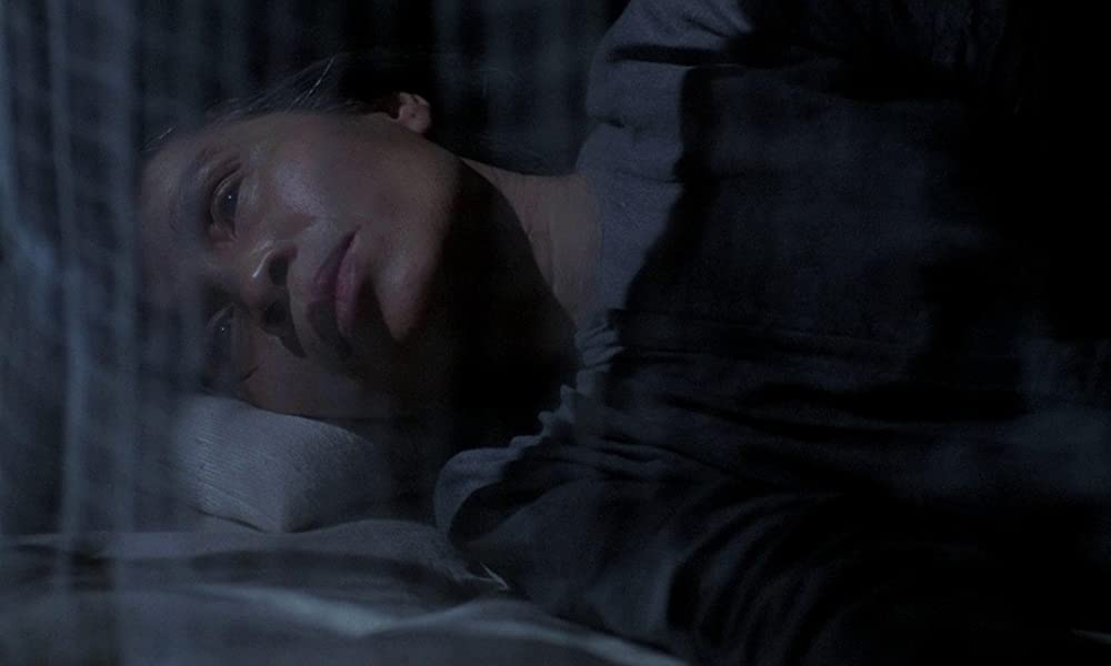 青いパパイヤの香りの画像