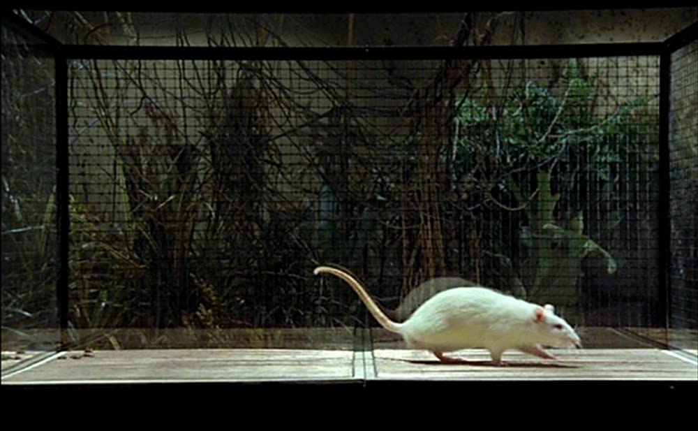 アメリカの伯父さんの画像