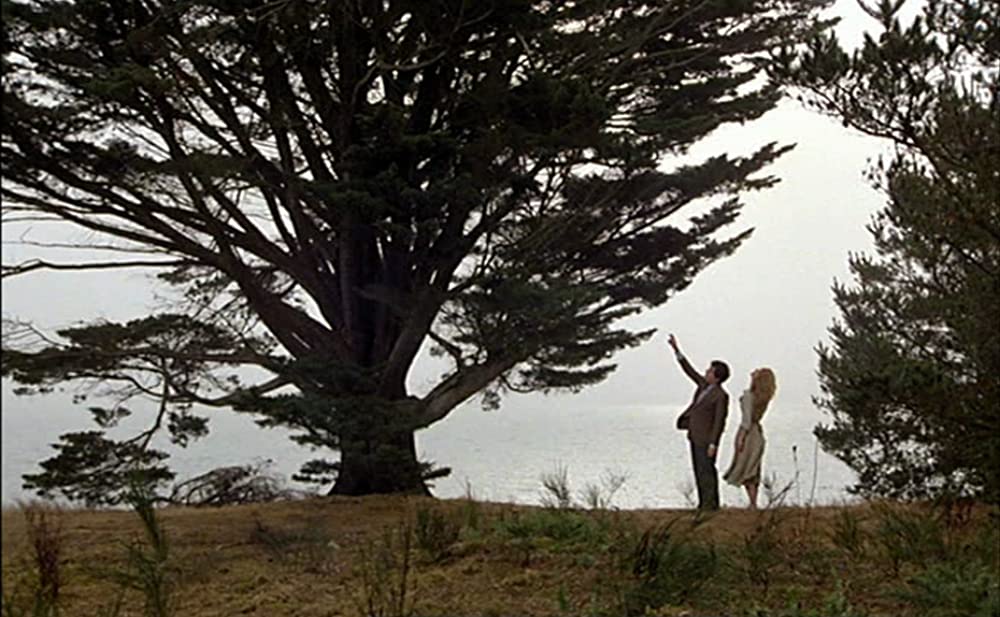 アメリカの伯父さんの画像