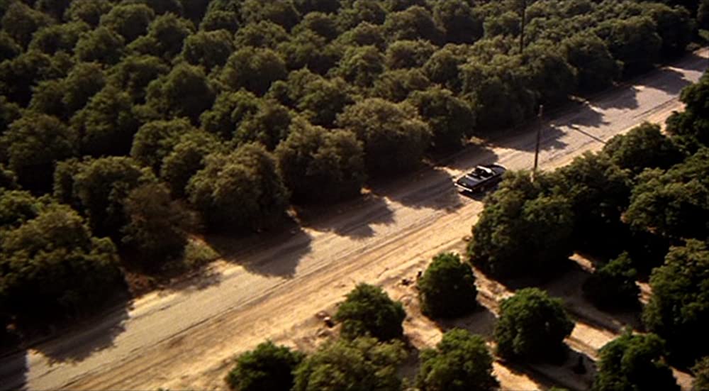 アメリカン・ジゴロの画像