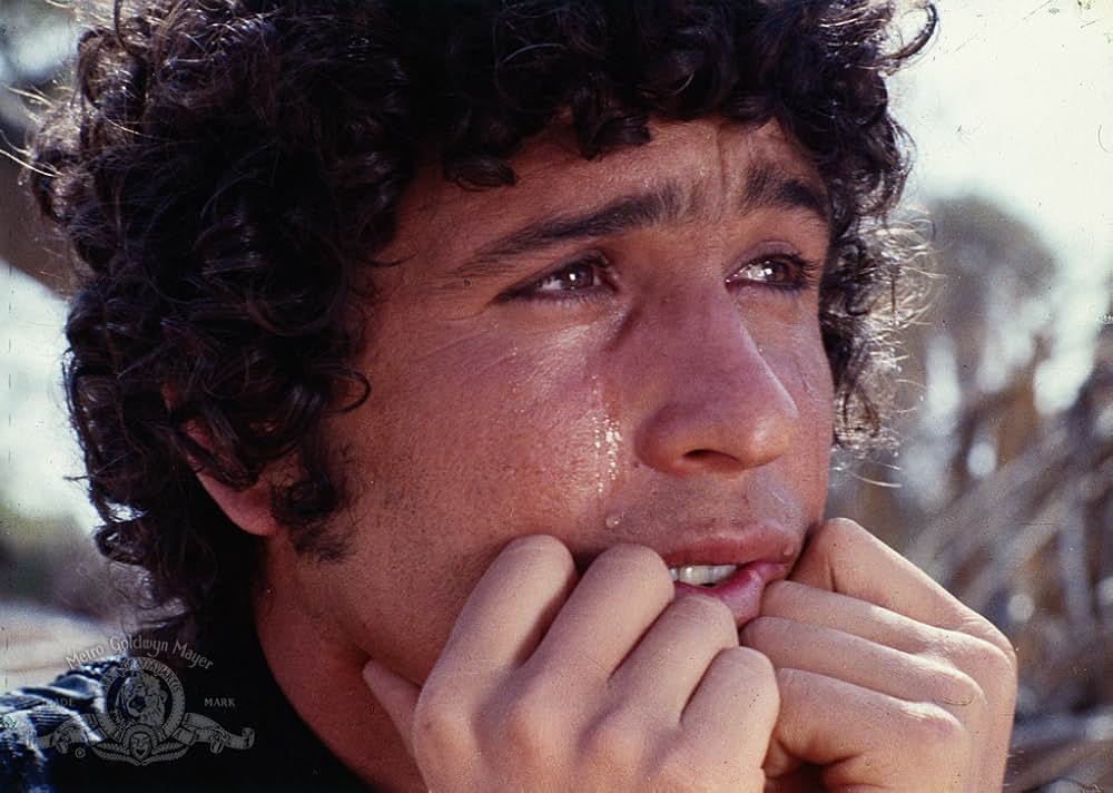 アラビアンナイトの画像