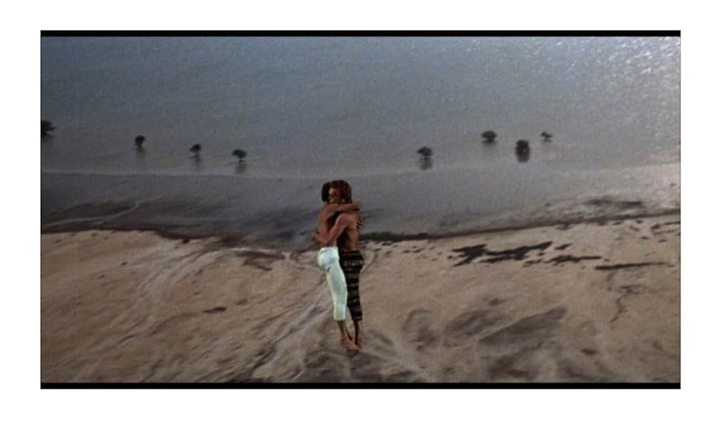 アラビアンナイトの画像