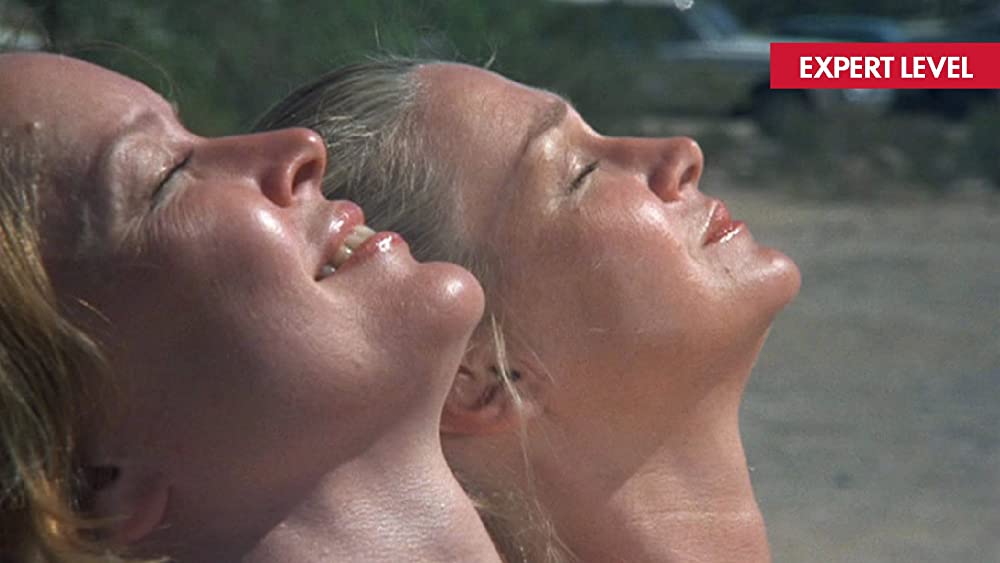 「アリスの恋」エレン・バースティン & クリス・クリストファーソン & ダイアン・ラッドの画像