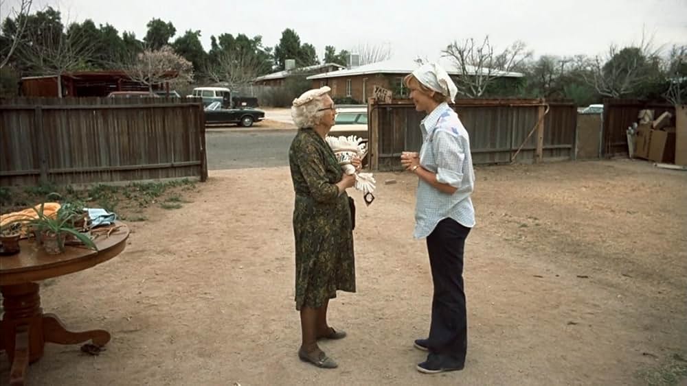 アリスの恋の画像