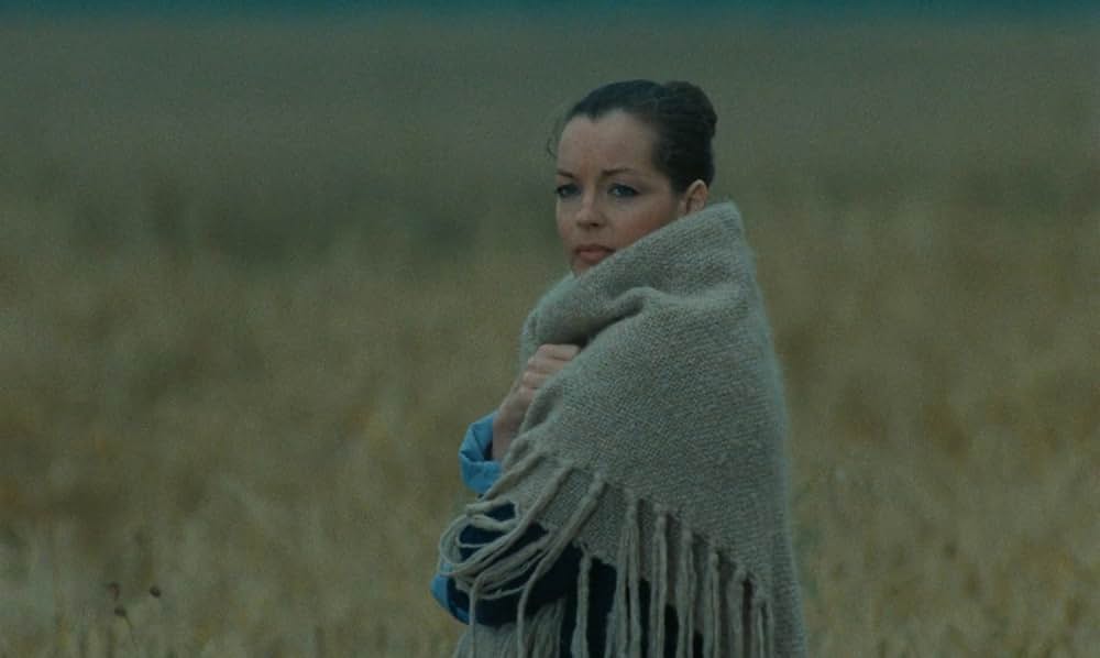 ありふれた愛のストーリーの画像