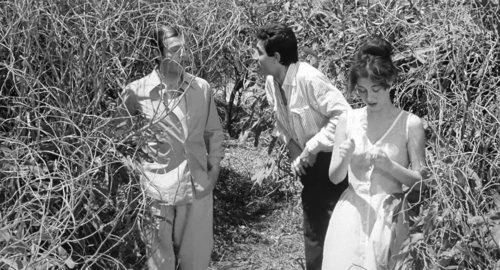 イタリア式離婚狂想曲の画像