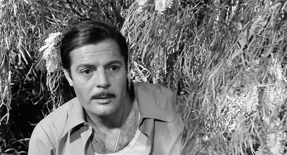 イタリア式離婚狂想曲の画像