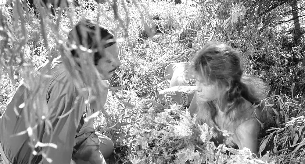 イタリア式離婚狂想曲の画像