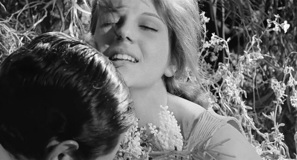 イタリア式離婚狂想曲の画像