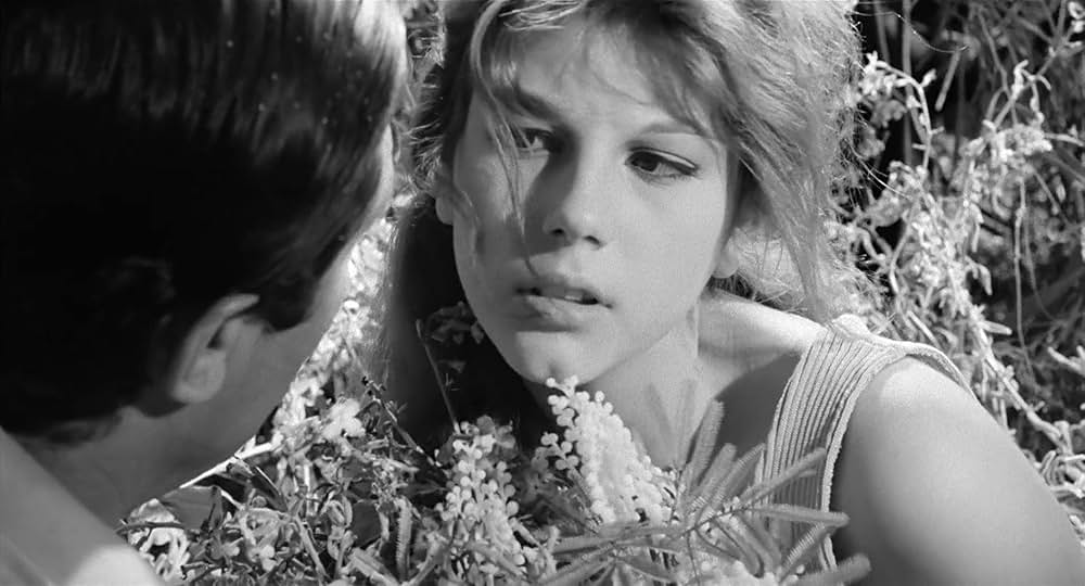 イタリア式離婚狂想曲の画像