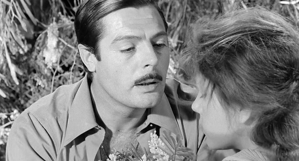 イタリア式離婚狂想曲の画像