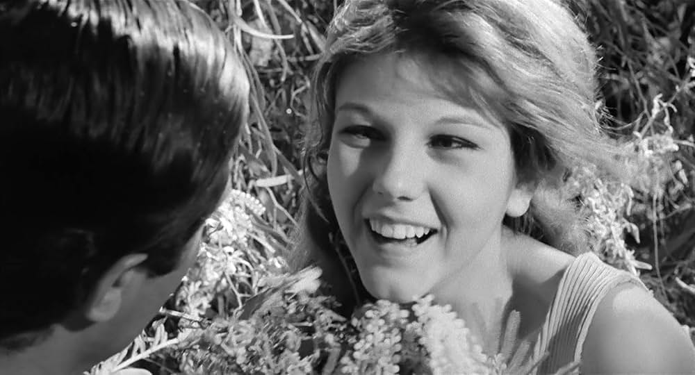 イタリア式離婚狂想曲の画像