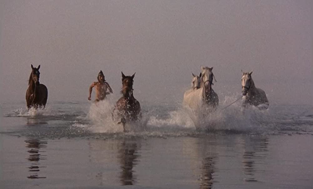 イフゲニアの画像