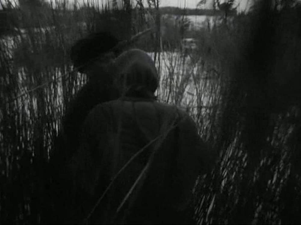 動くな、死ね、甦れ！の画像