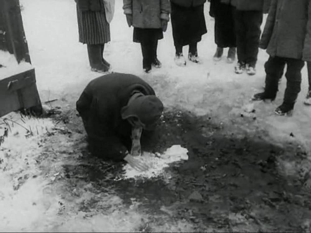 動くな、死ね、甦れ！の画像