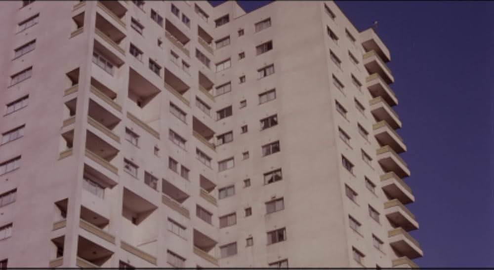 運動靴と赤い金魚の画像