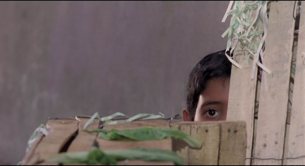 運動靴と赤い金魚の画像