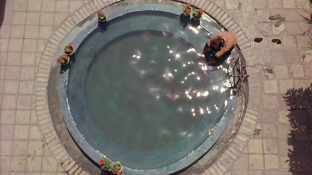 運動靴と赤い金魚の画像