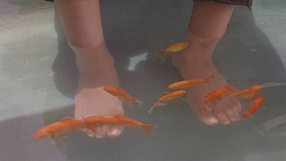 運動靴と赤い金魚の画像