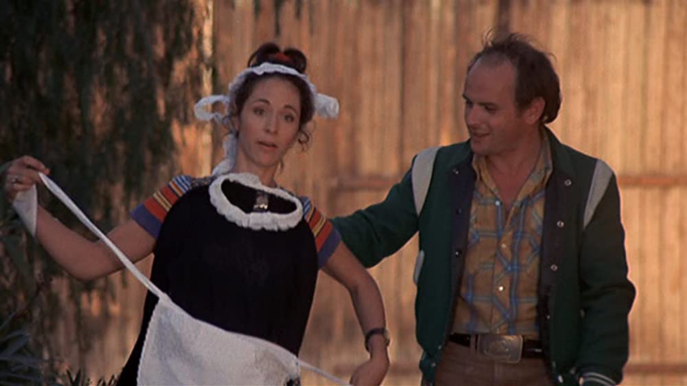 映画に愛をこめて アメリカの夜の画像