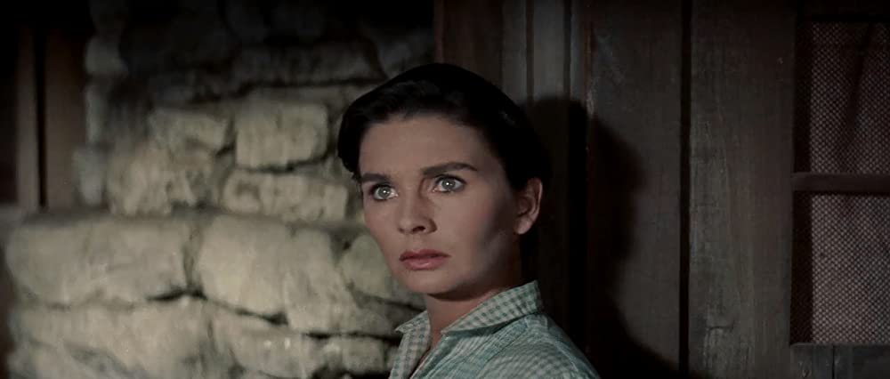 大いなる西部の画像