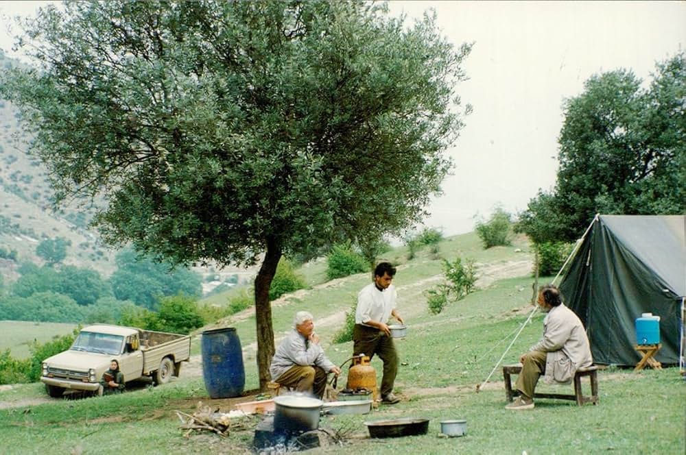 オリーブの林をぬけての画像