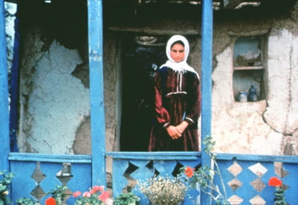 オリーブの林をぬけての画像