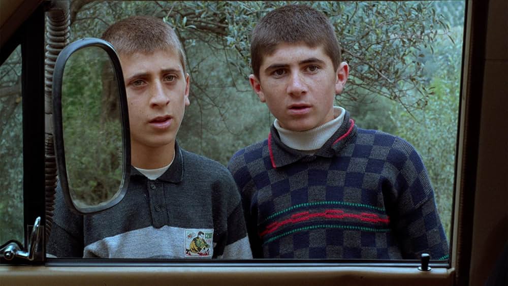 オリーブの林をぬけての画像