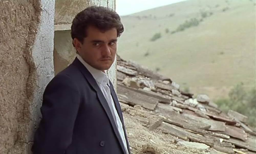 オリーブの林をぬけての画像