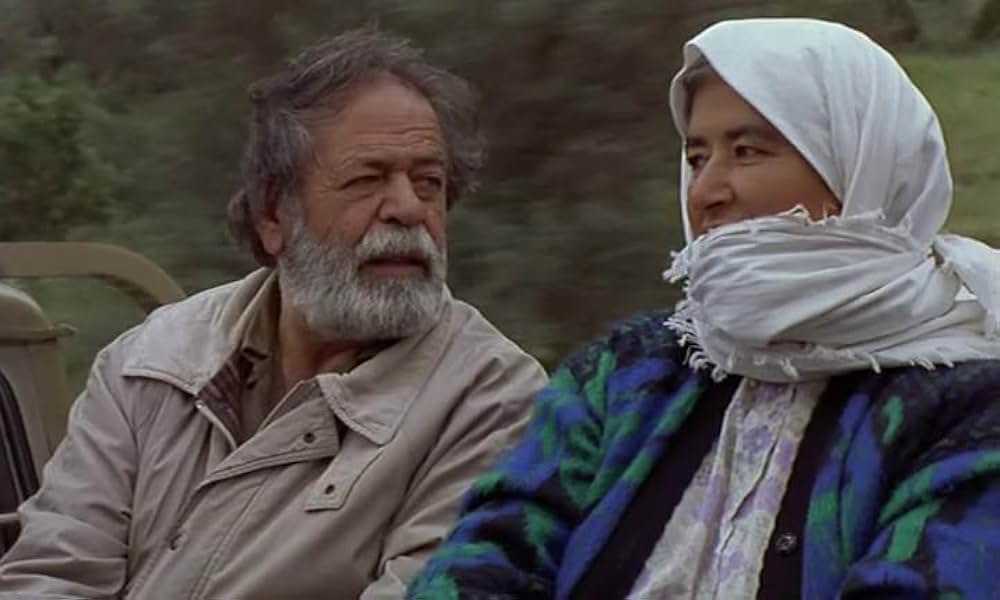 オリーブの林をぬけての画像