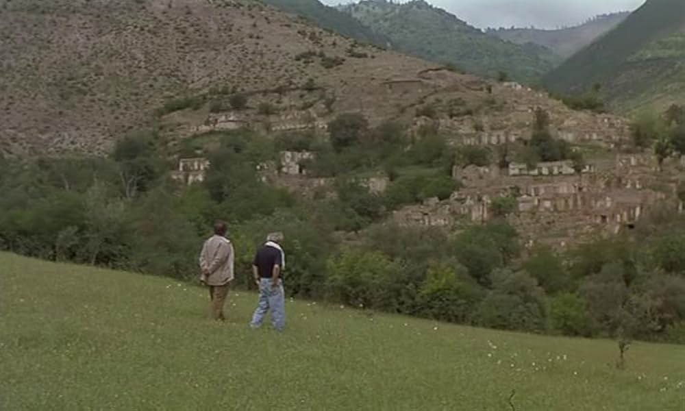 オリーブの林をぬけての画像