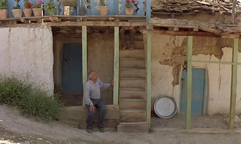 オリーブの林をぬけての画像