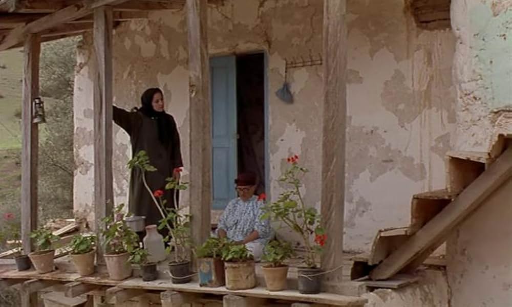 オリーブの林をぬけての画像