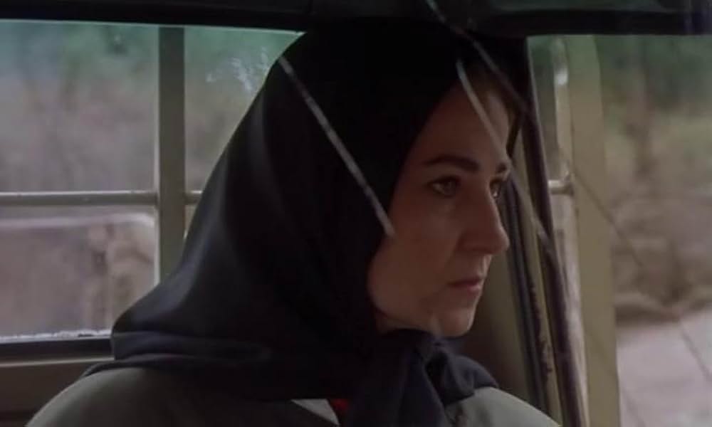 オリーブの林をぬけての画像