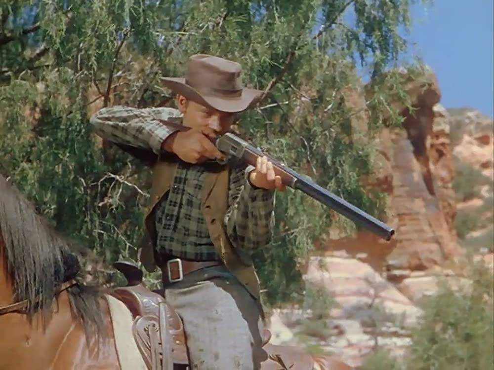 折れた矢の画像