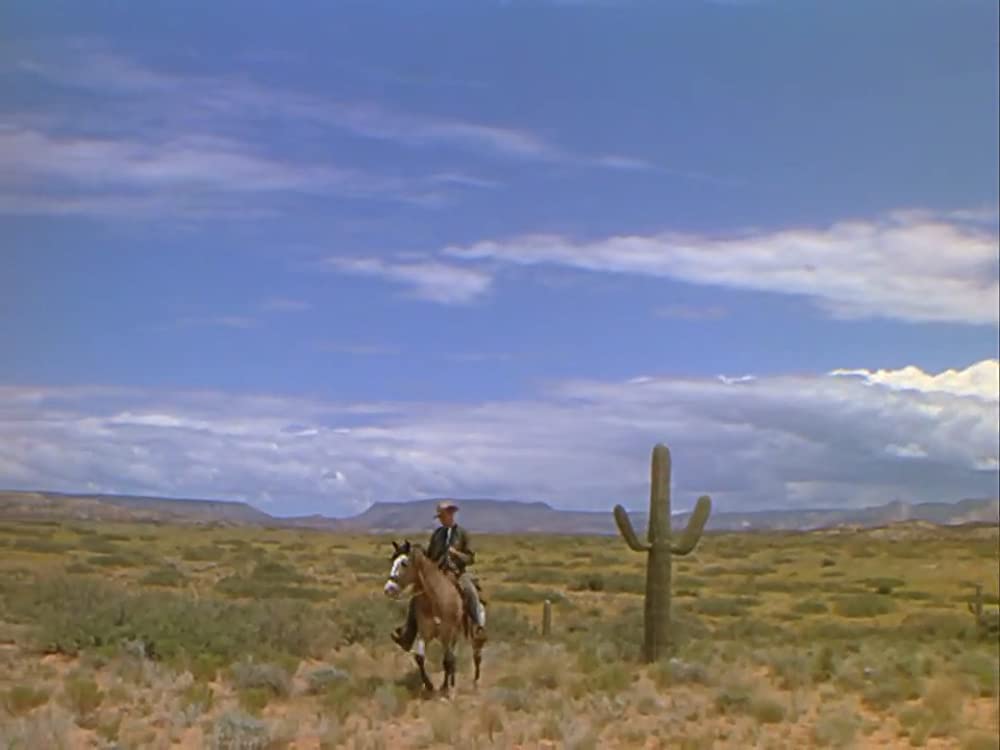 折れた矢の画像