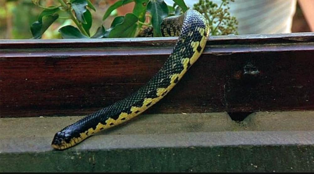 トスカーナの休日の画像