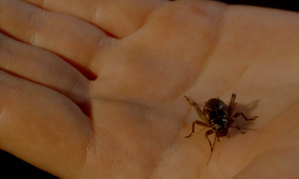 数に溺れての画像