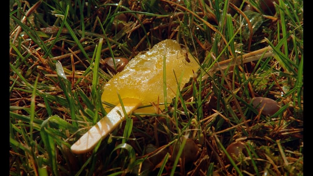 数に溺れての画像