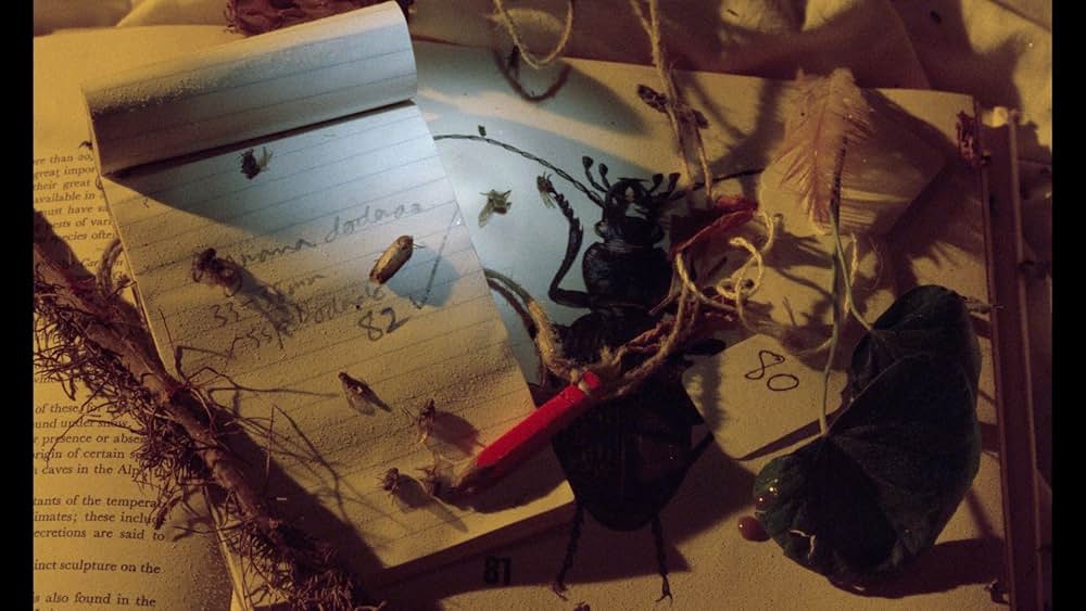 数に溺れての画像