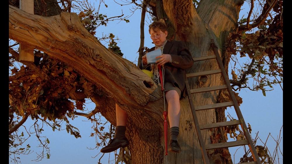 数に溺れての画像