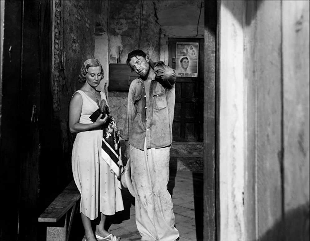 狂熱の孤独の画像