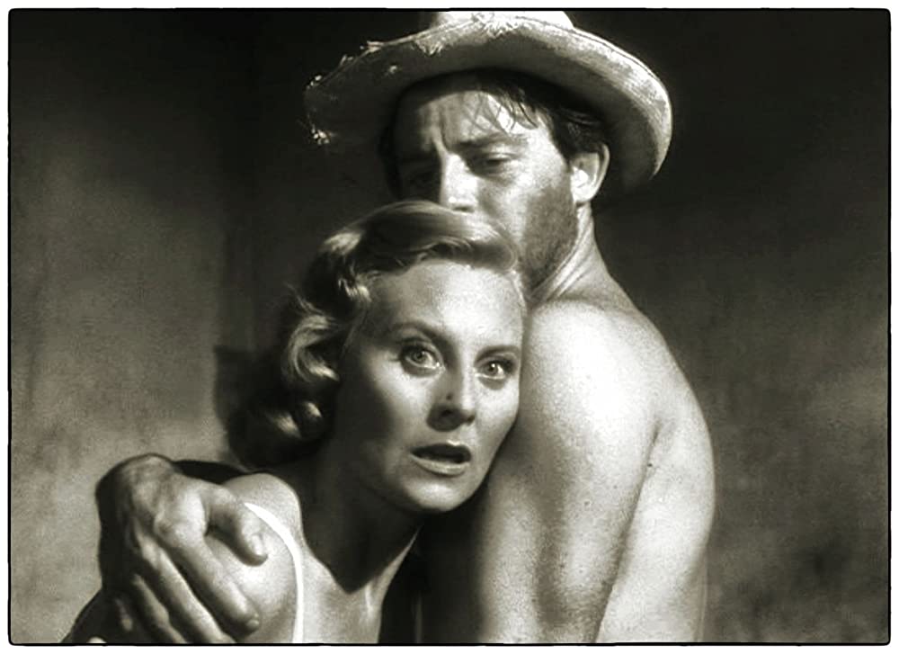 狂熱の孤独の画像