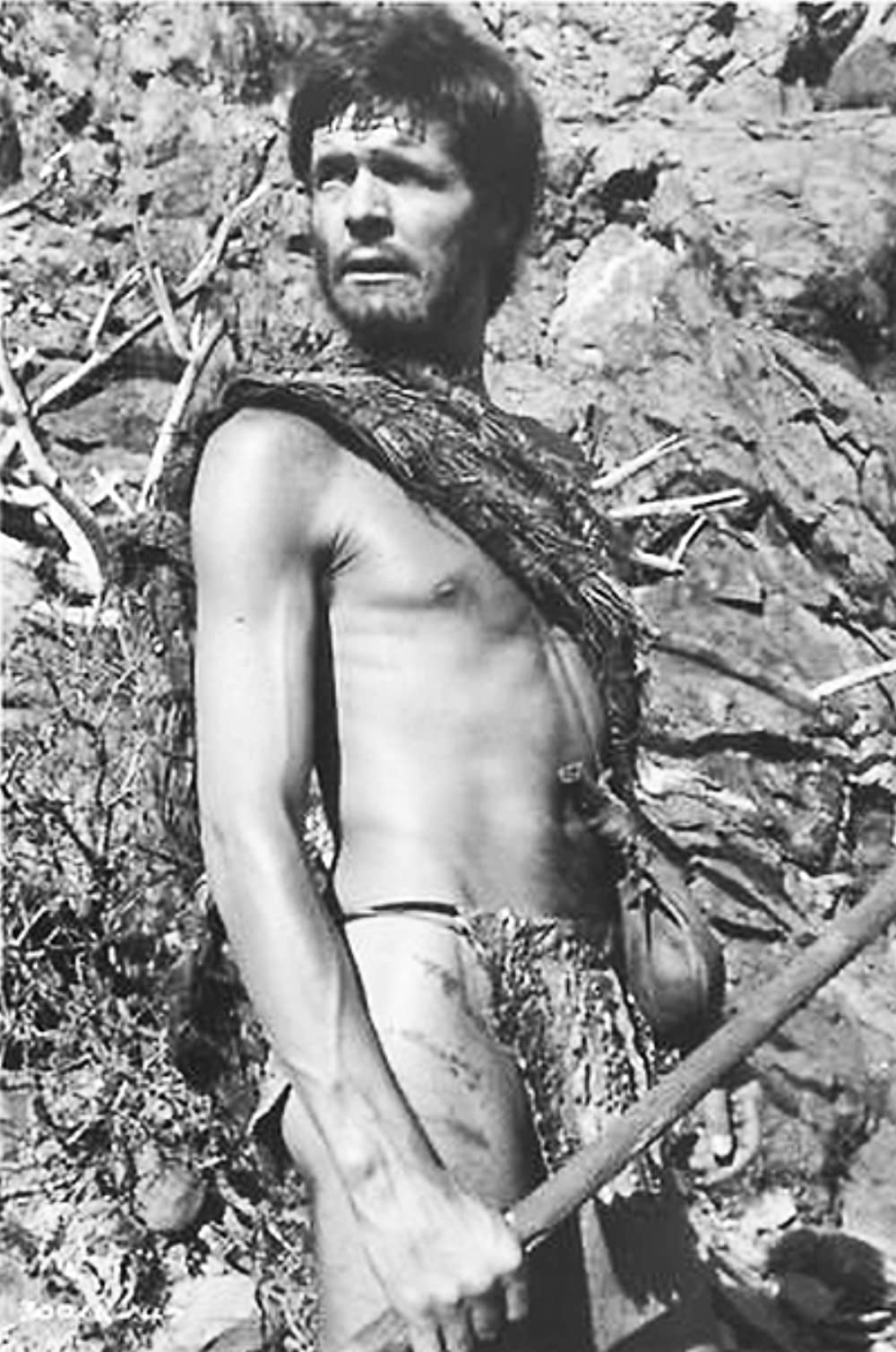 恐竜時代の画像