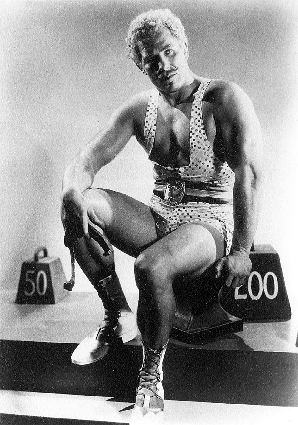 巨星ジーグフェルドの画像