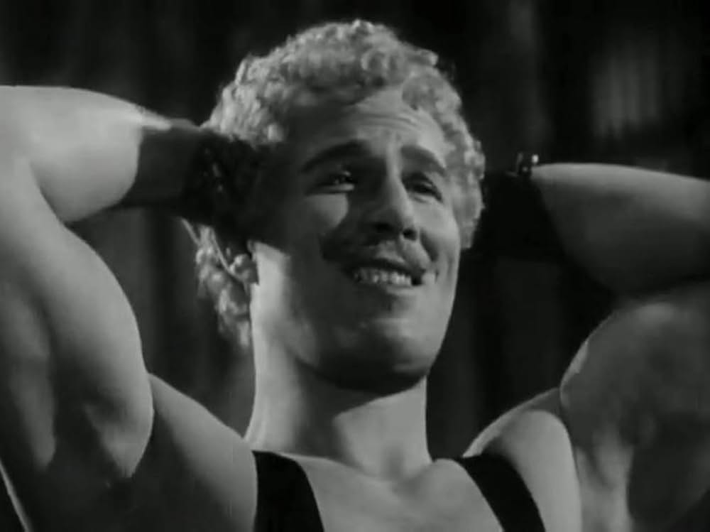 巨星ジーグフェルドの画像