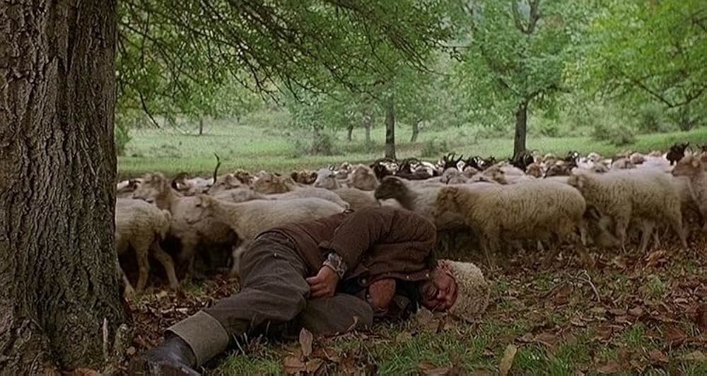 コーカサスの虜の画像