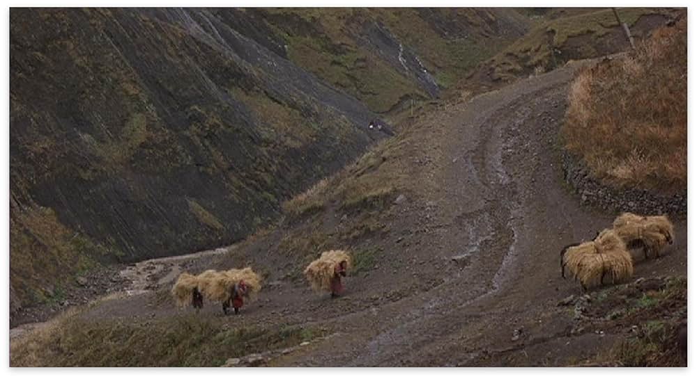 コーカサスの虜の画像