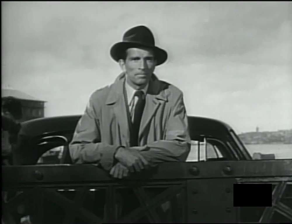 五本の指の画像