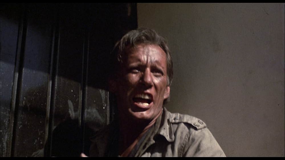 サルバドル／遥かなる日々の画像